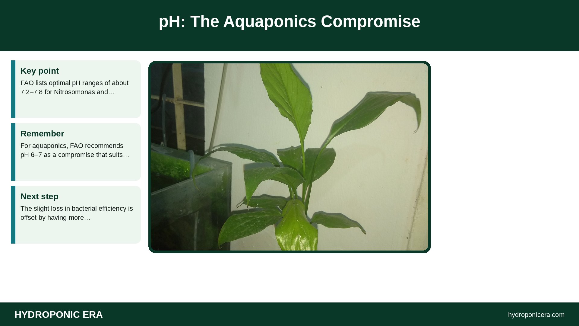 nitrifying bacteria — pH: The Aquaponics Compromise