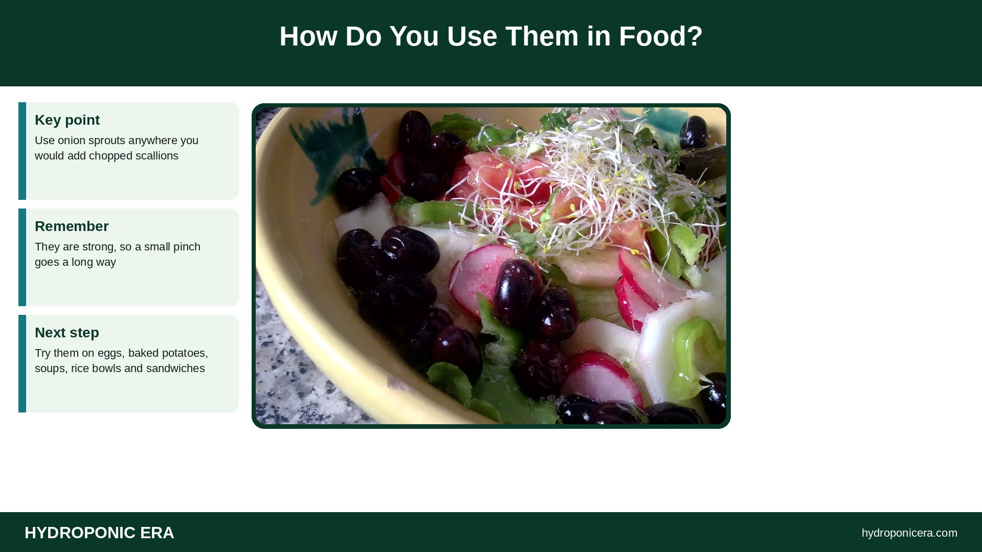 onion sprouts — How Do You Use Them in Food?