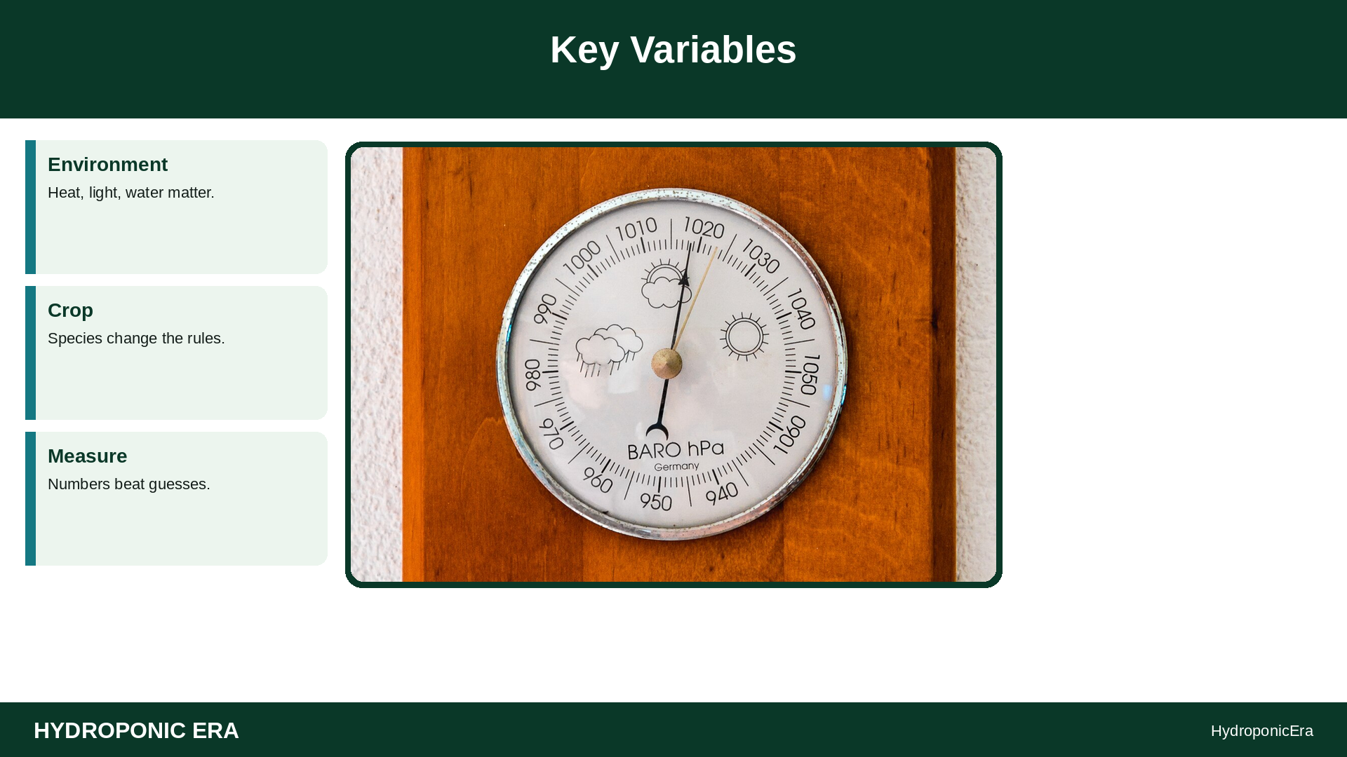 overnight wilt diagnosis hydroponics — Key Variables