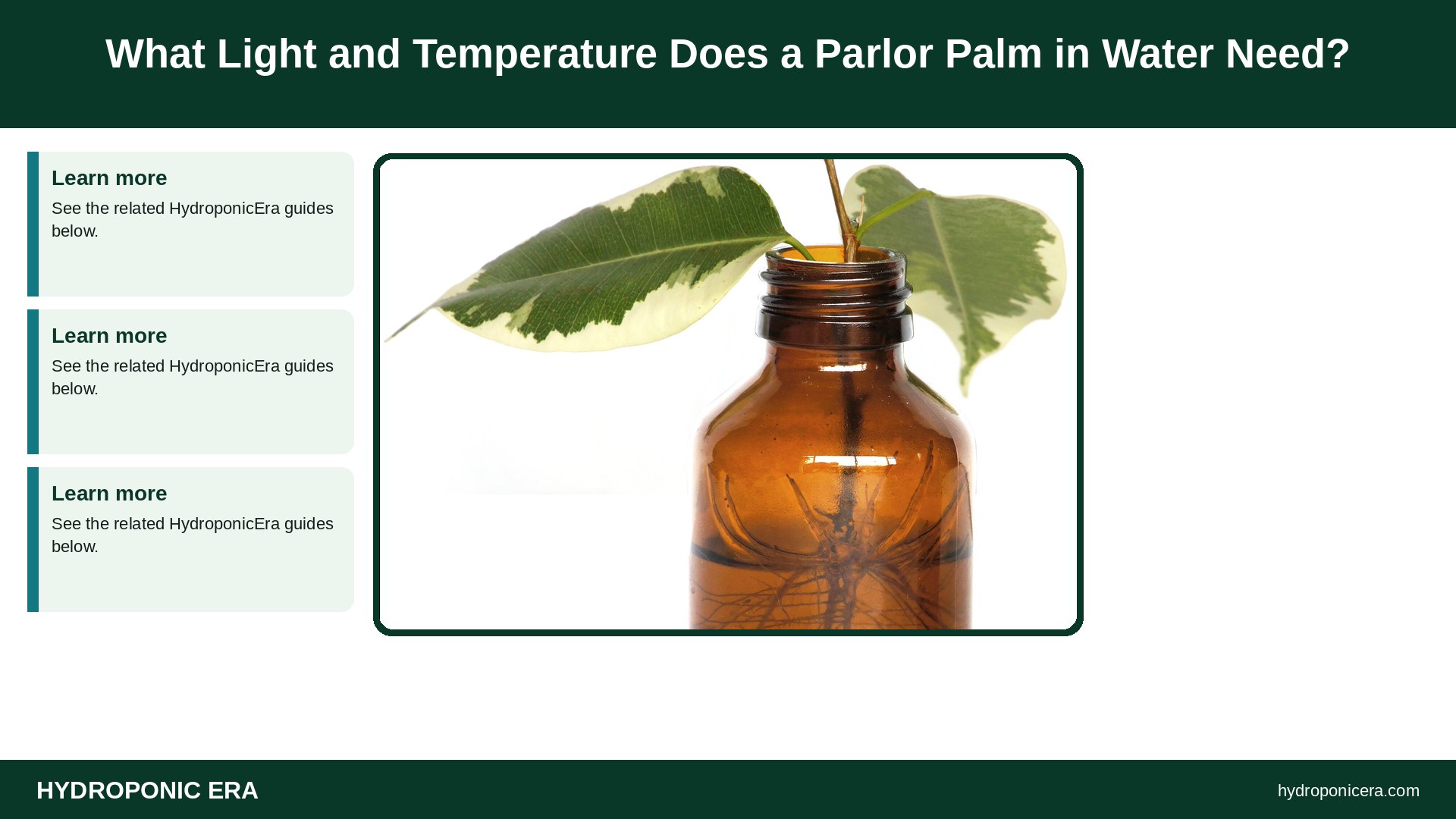 parlor palm in water — What Light and Temperature Does a Parlor Palm in Water Need?