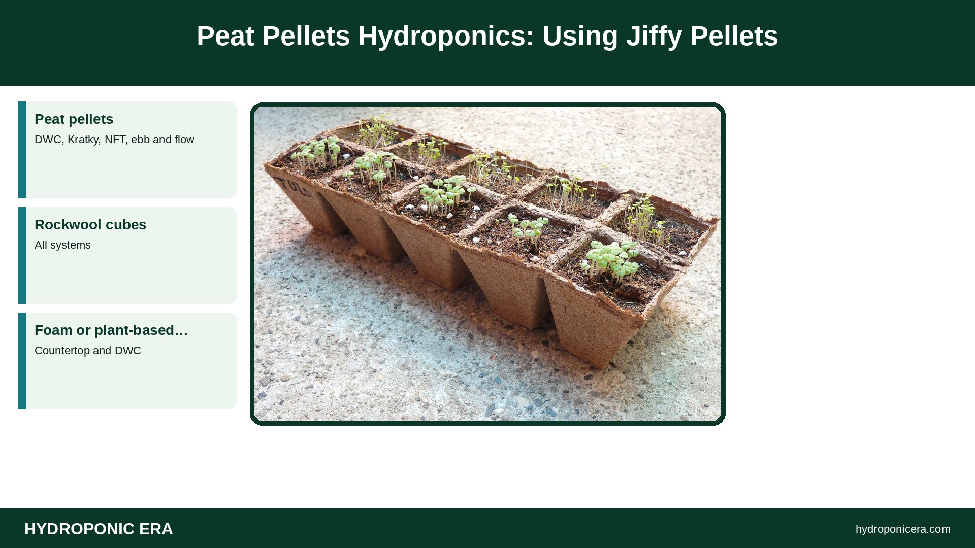 peat pellets hydroponics — Peat Pellets Hydroponics: Using Jiffy Pellets