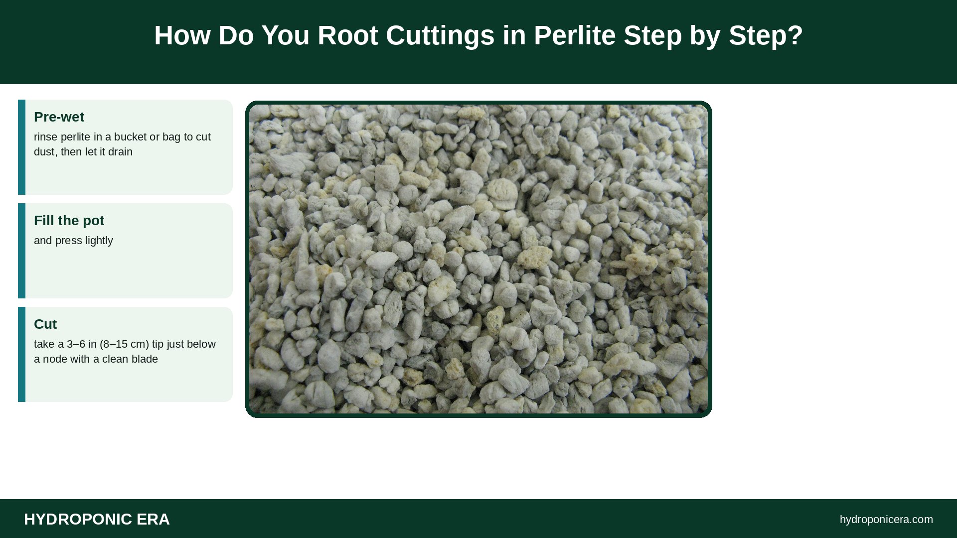 perlite propagation — How Do You Root Cuttings in Perlite Step by Step?