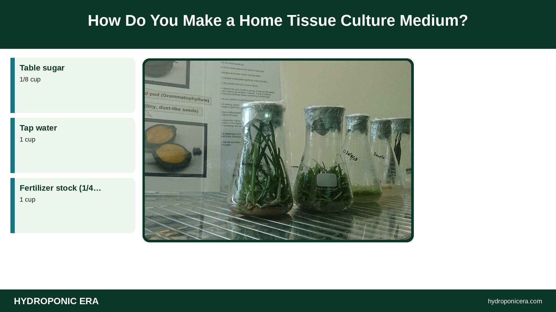 plant tissue culture at home — How Do You Make a Home Tissue Culture Medium?