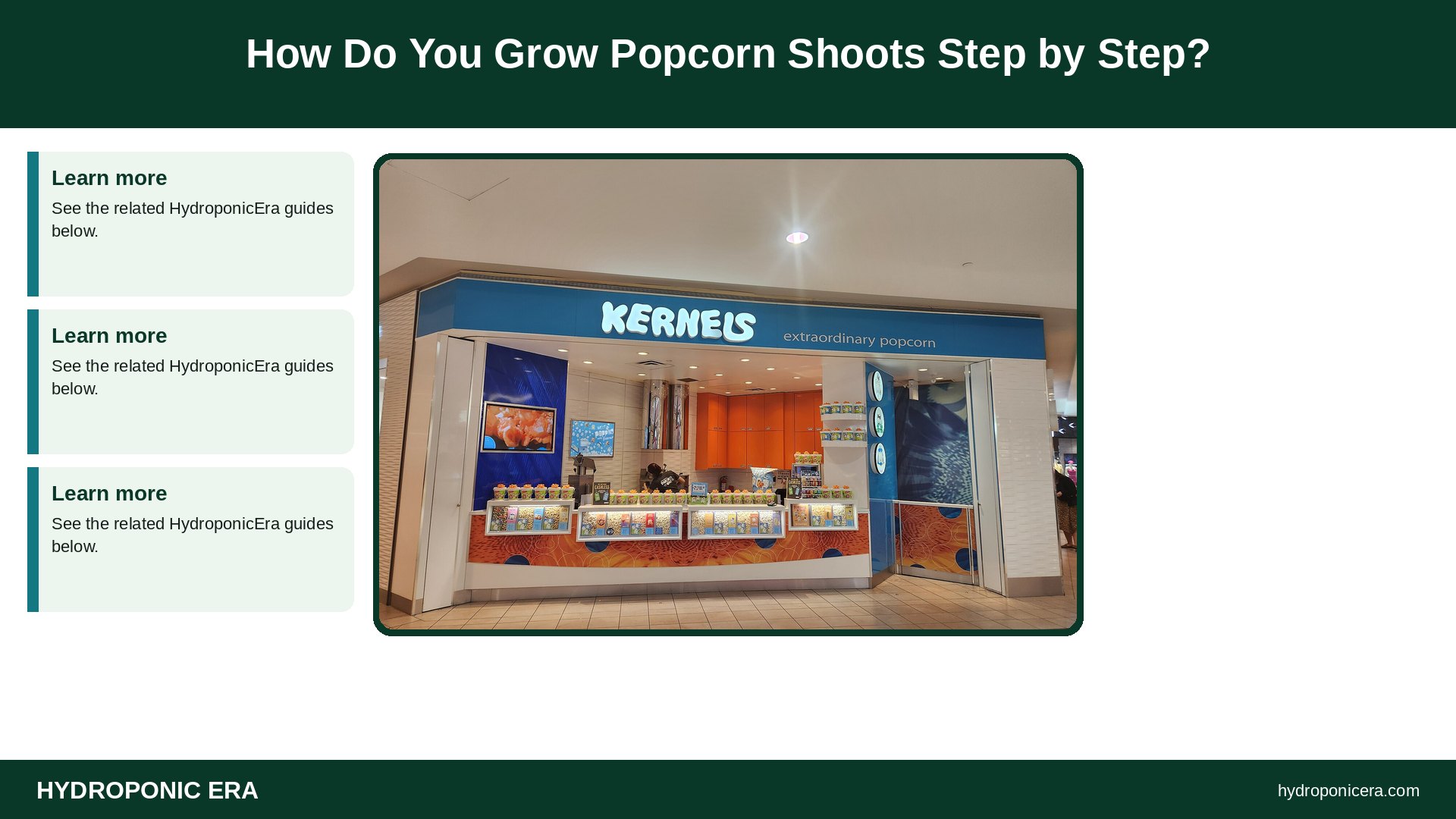 popcorn shoots — How Do You Grow Popcorn Shoots Step by Step?