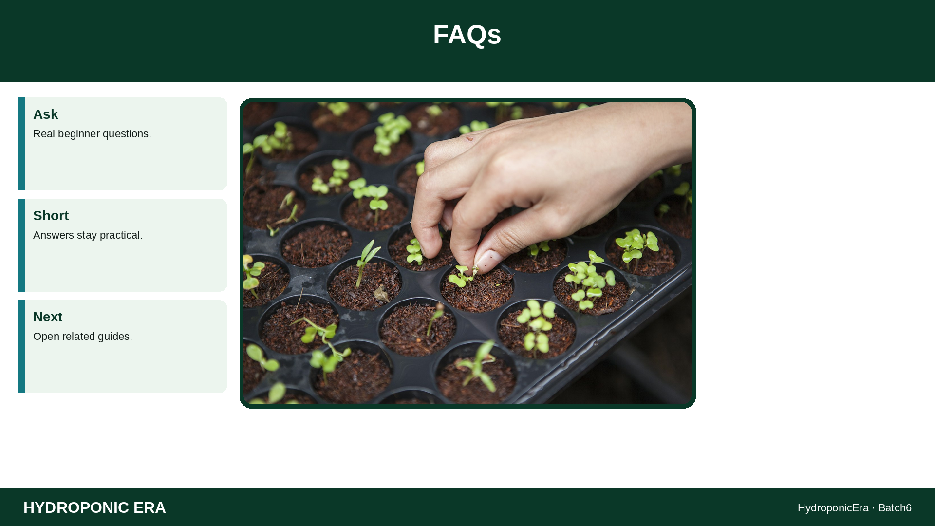 FAQs — HydroponicEra tip card graphic