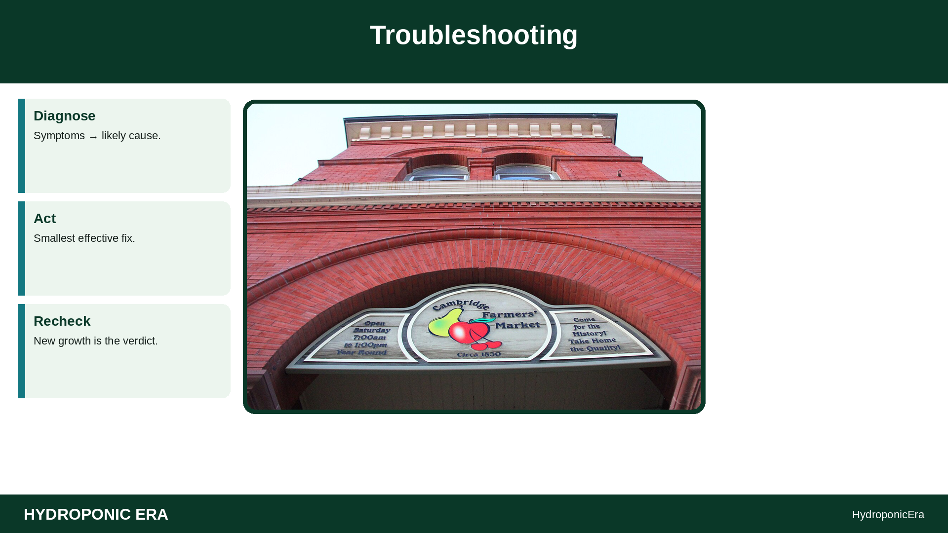 produce photo tips hydroponic listings — Troubleshooting