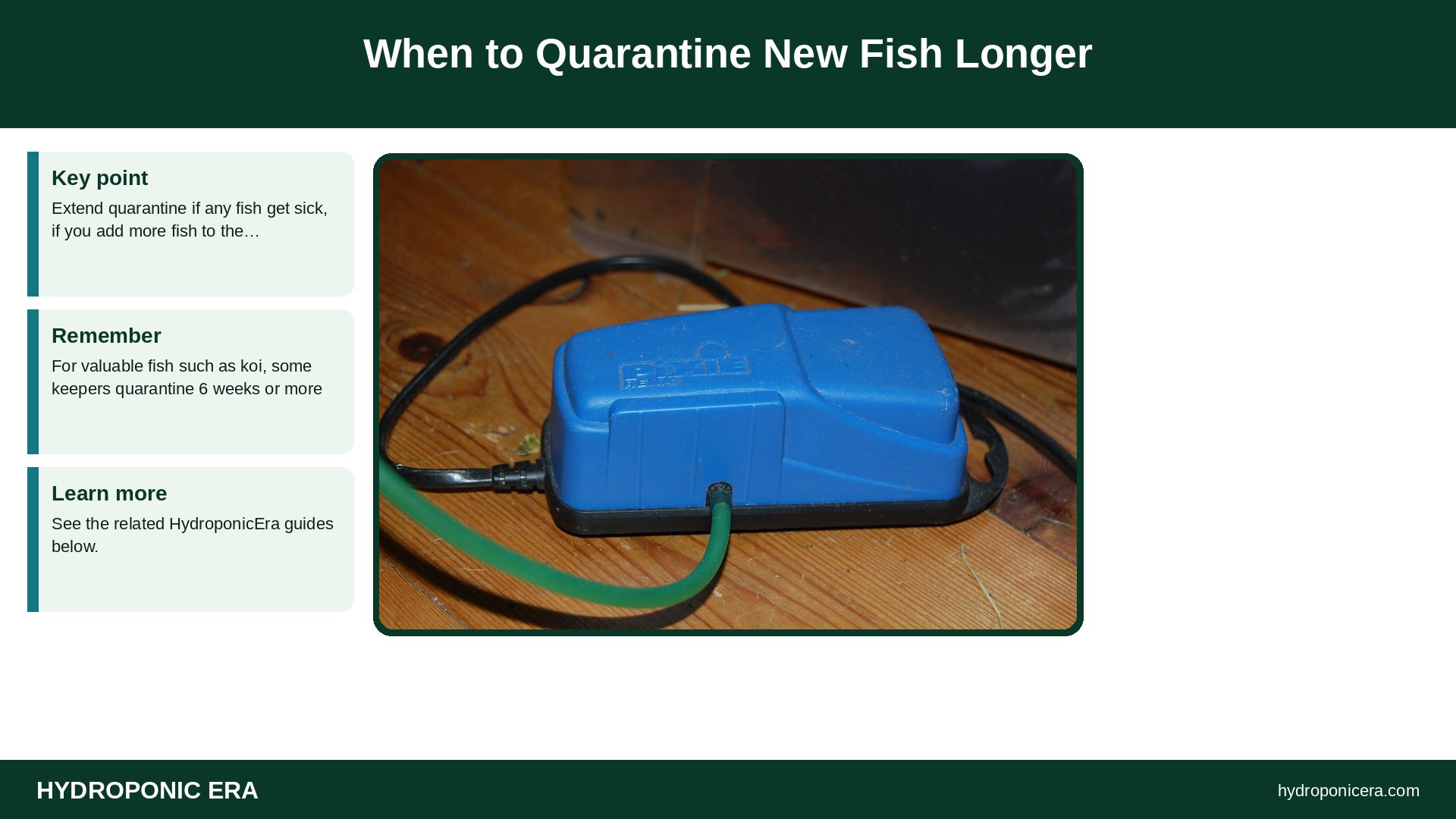 quarantine new fish — When to Quarantine New Fish Longer