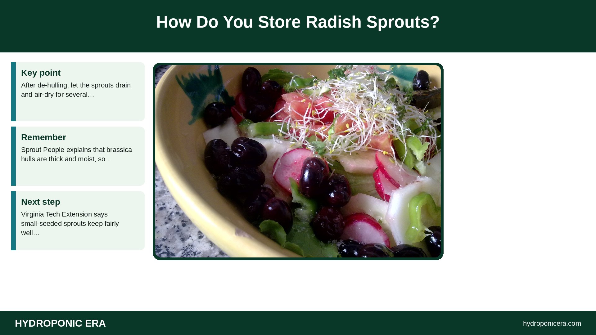 radish sprouts — How Do You Store Radish Sprouts?