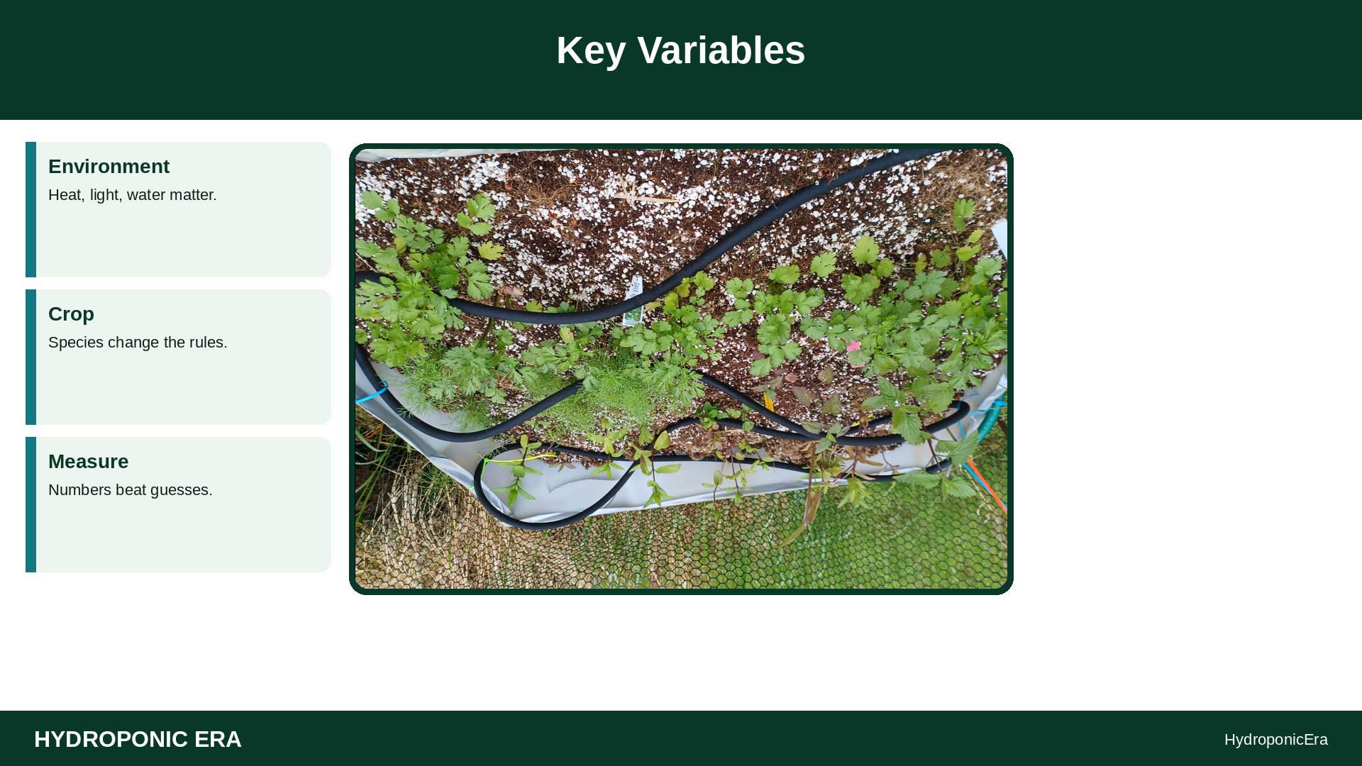 restaurant sample drop protocol hydroponic herbs — Key Variables