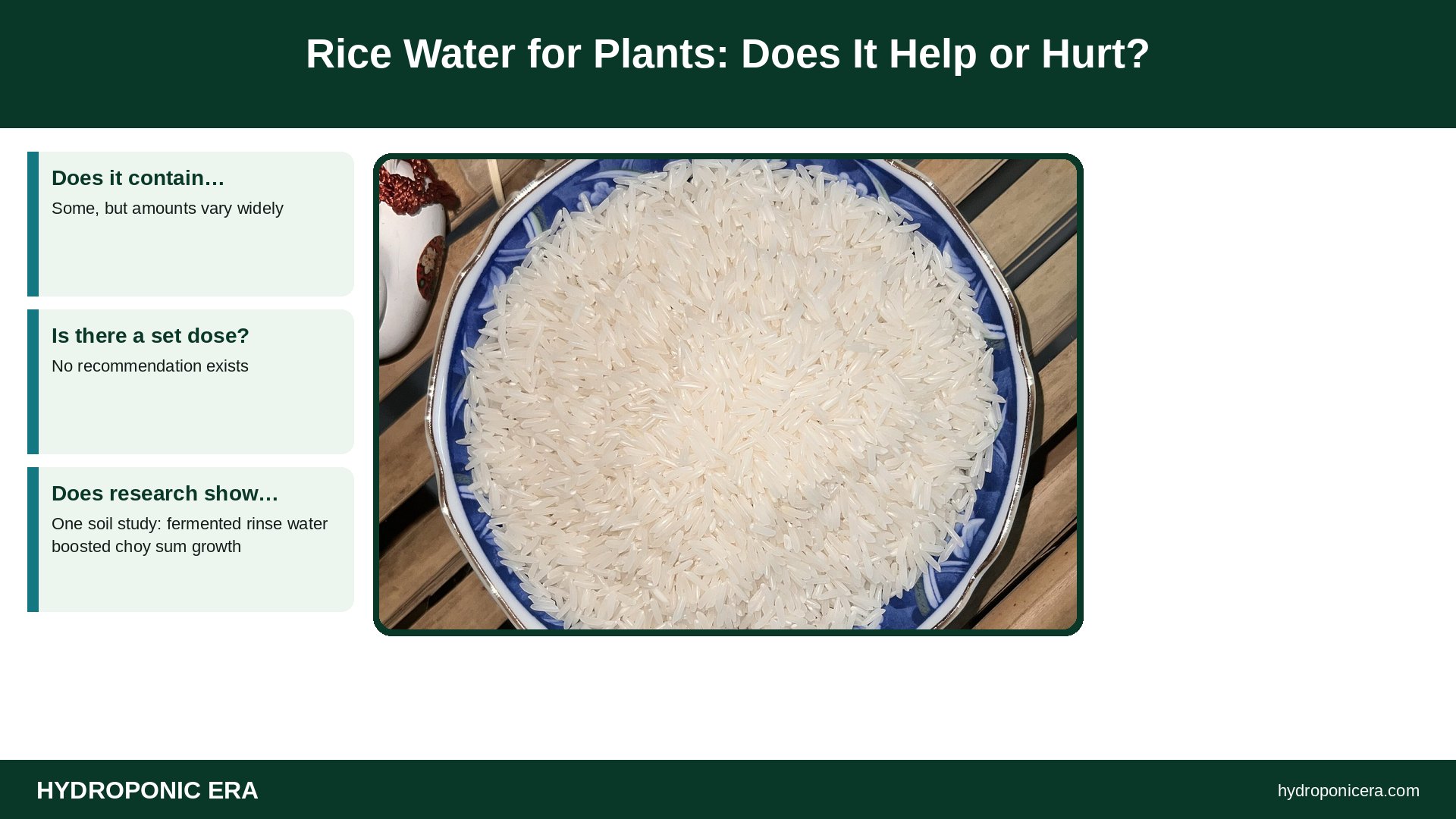 rice water for plants — Rice Water for Plants: Does It Help or Hurt?