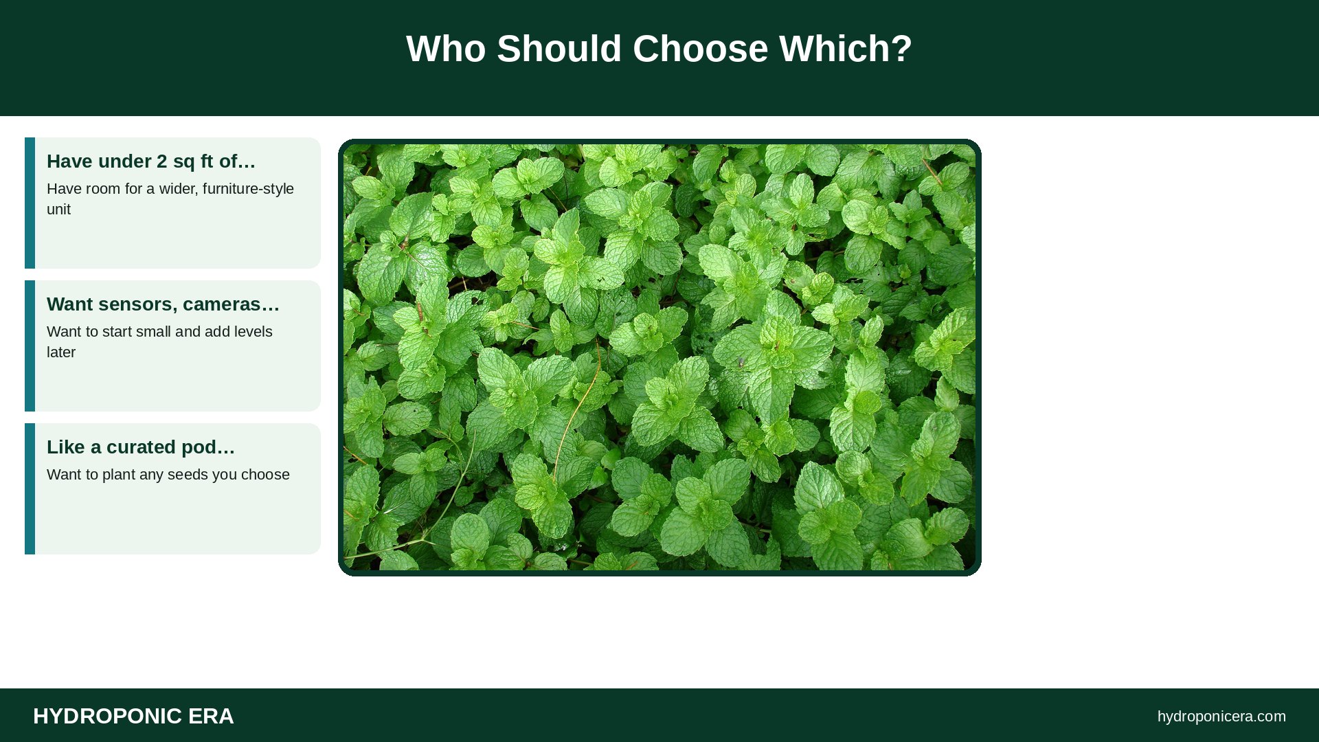 gardyn — Who Should Choose Which?