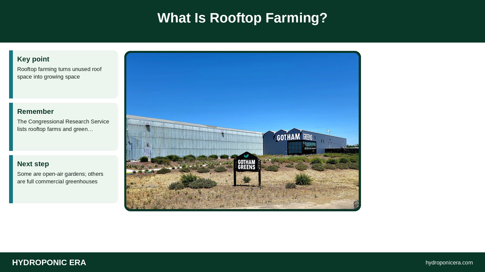 rooftop farming — What Is Rooftop Farming?