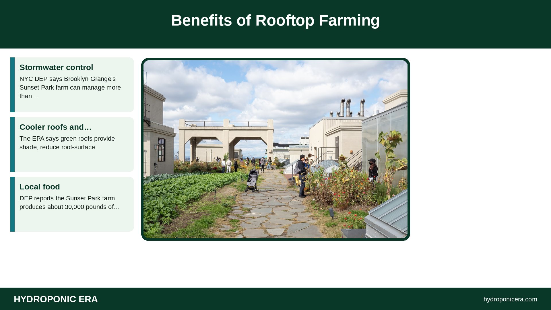 rooftop farming — Benefits of Rooftop Farming