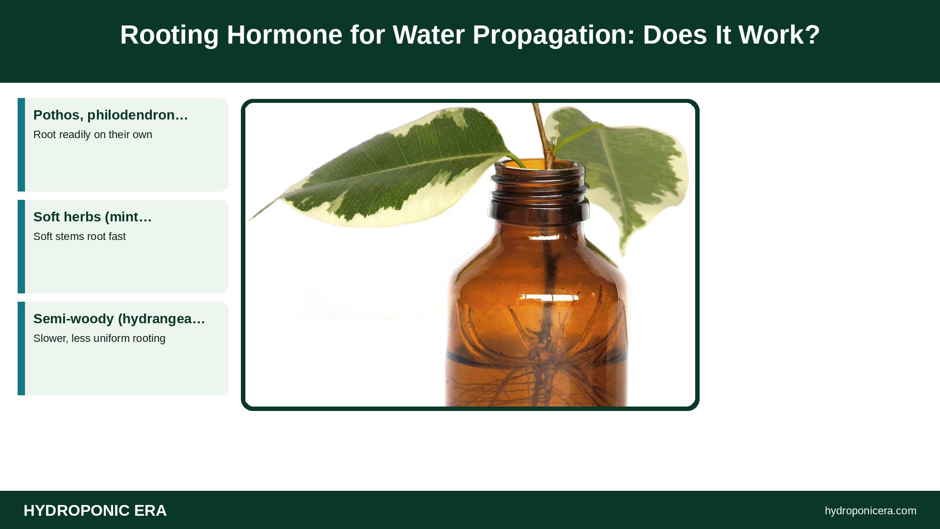 rooting hormone — Rooting Hormone for Water Propagation: Does It Work?