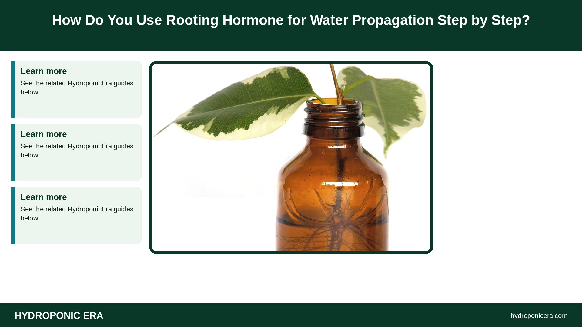 rooting hormone — How Do You Use Rooting Hormone for Water Propagation Step by Step?