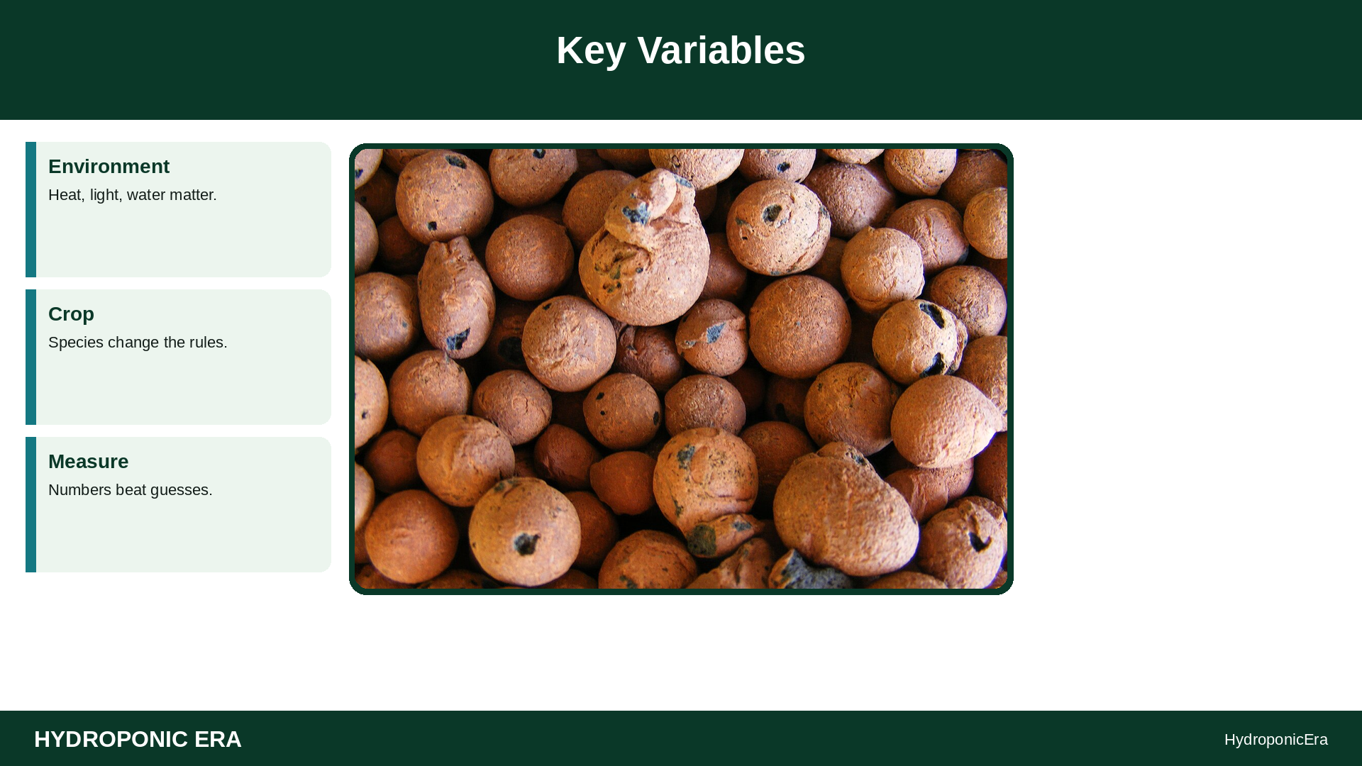 salt crust media surface hydroponics — Key Variables