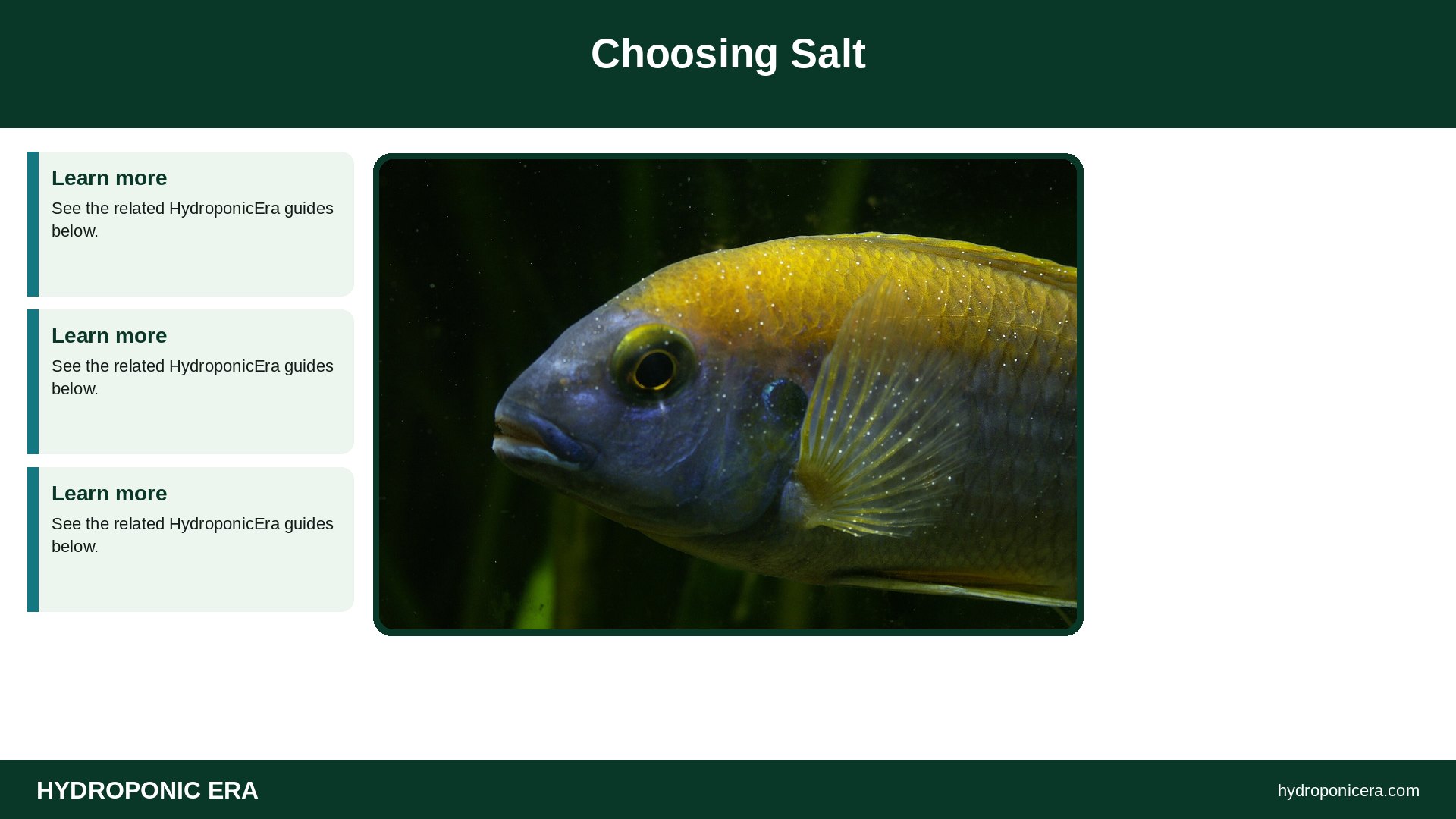 salt treatment — Choosing Salt