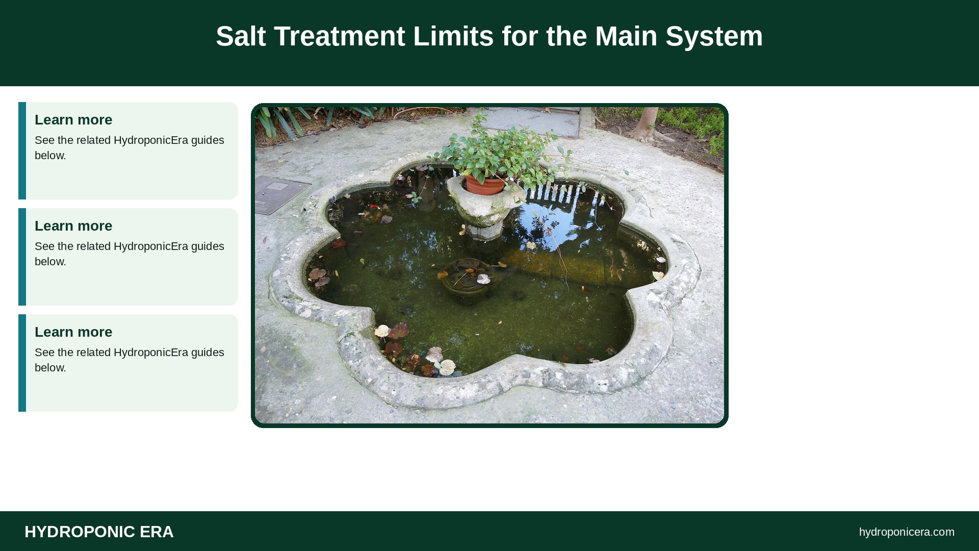 salt treatment — Salt Treatment Limits for the Main System