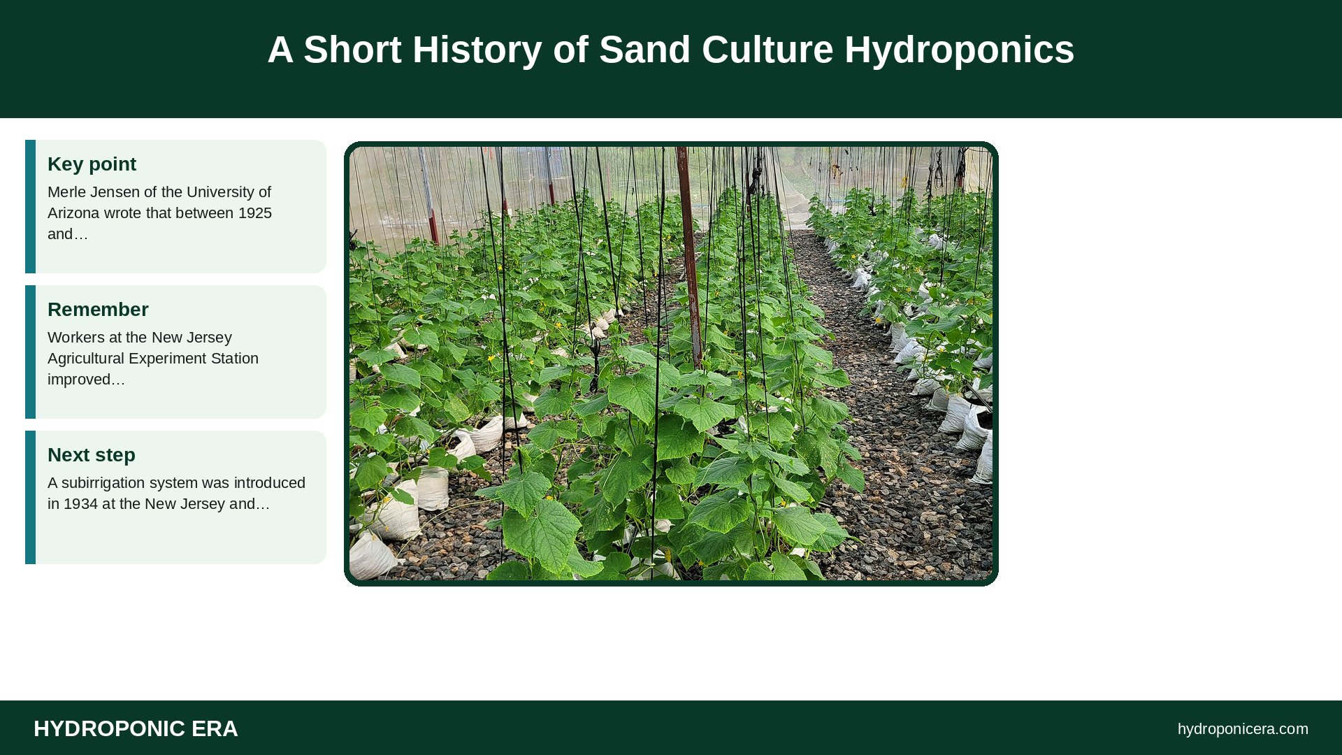 sand culture hydroponics — A Short History of Sand Culture Hydroponics