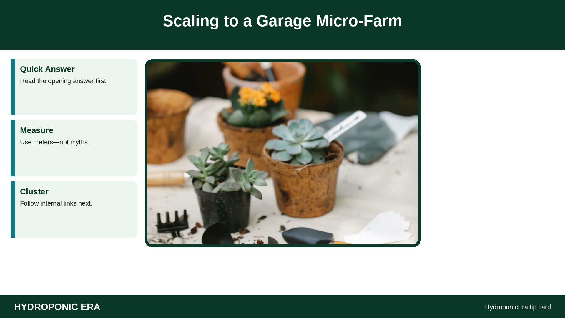 Garage Micro-farm Hydroponics — HydroponicEra guide