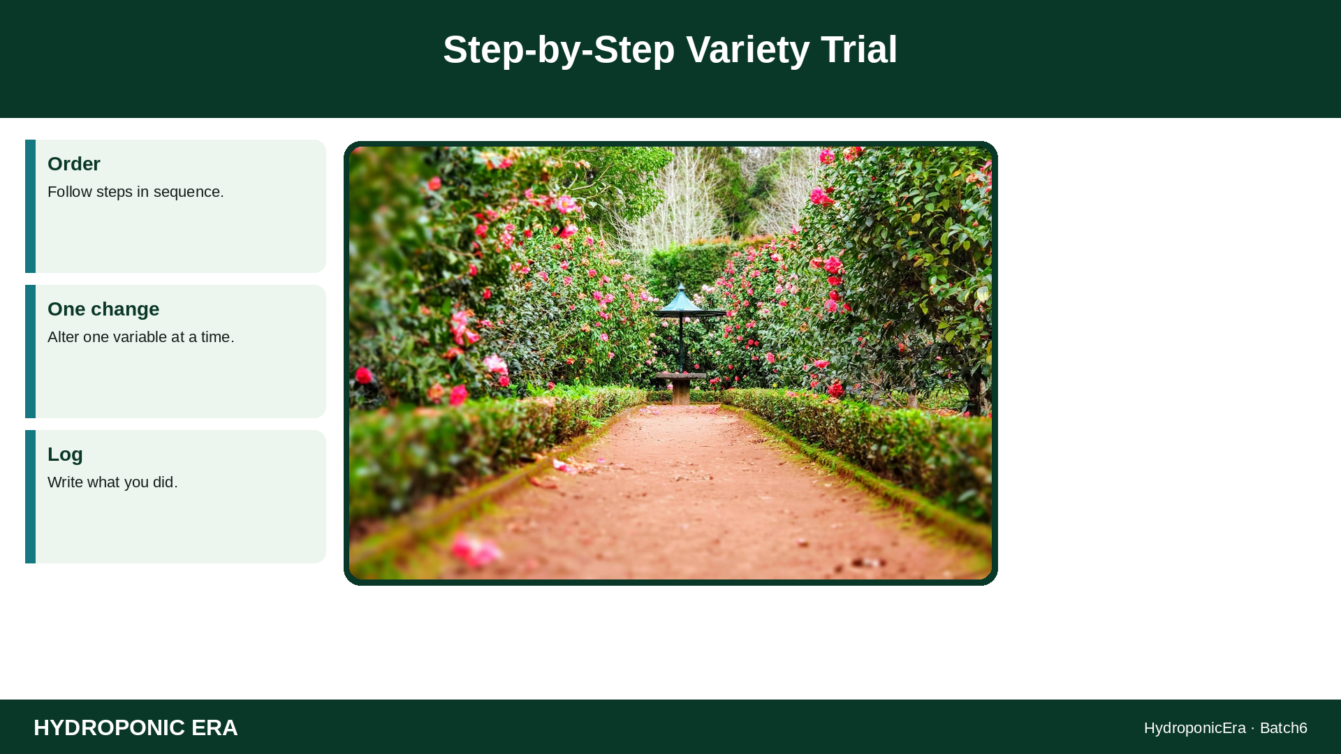 Step-by-Step Variety Trial — HydroponicEra tip card graphic