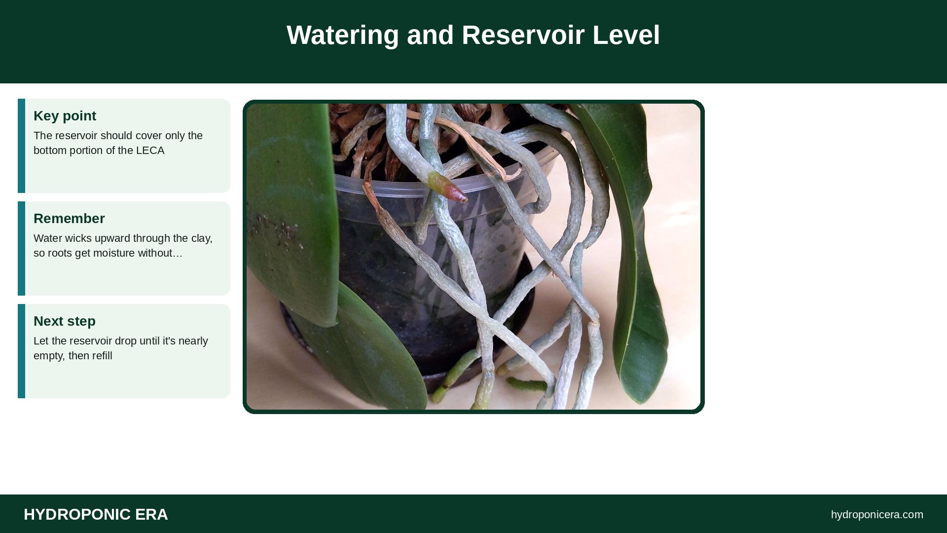 leca — Watering and Reservoir Level