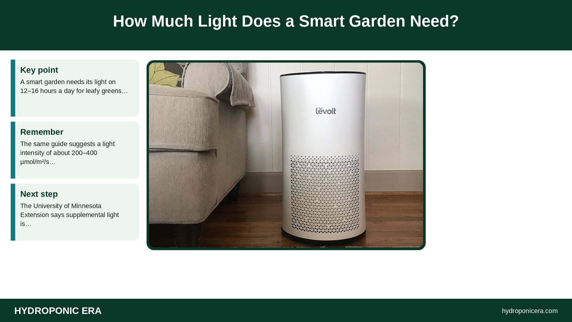 smart garden — How Much Light Does a Smart Garden Need?