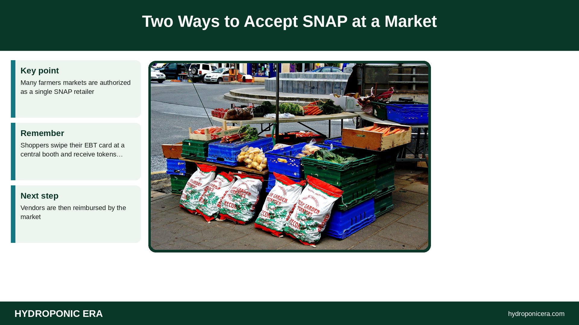 snap — Two Ways to Accept SNAP at a Market
