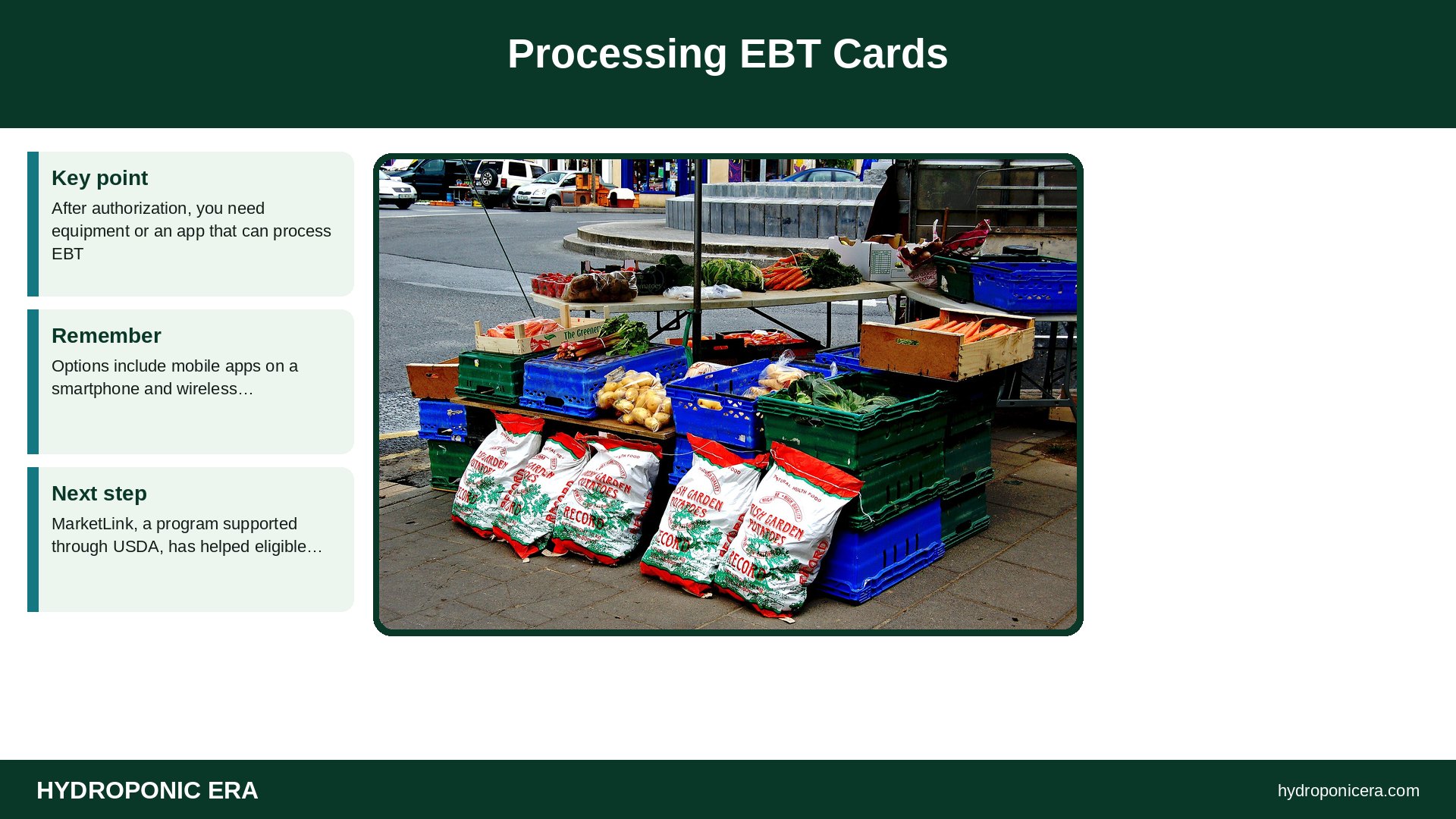 snap — Processing EBT Cards