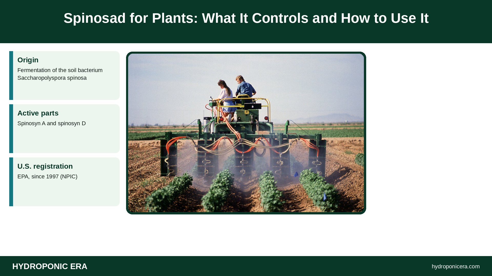 spinosad — Spinosad for Plants: What It Controls and How to Use It