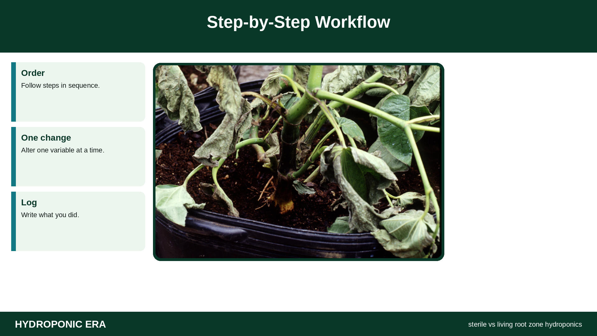 sterile vs living root zone home hydroponics — sterile vs living root zone hydroponics: Step-by-Step Workflow