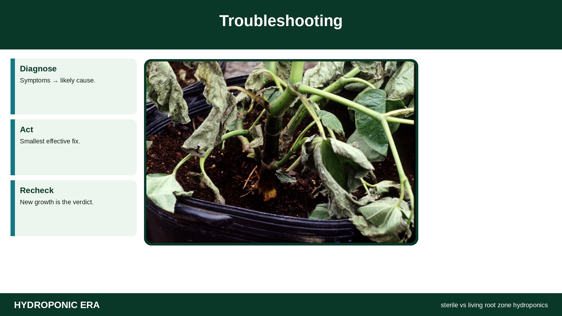 sterile vs living root zone home hydroponics — sterile vs living root zone hydroponics: Troubleshooting