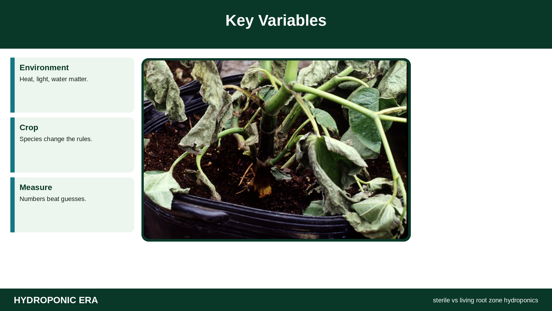 sterile vs living root zone home hydroponics — sterile vs living root zone hydroponics: Key Variables