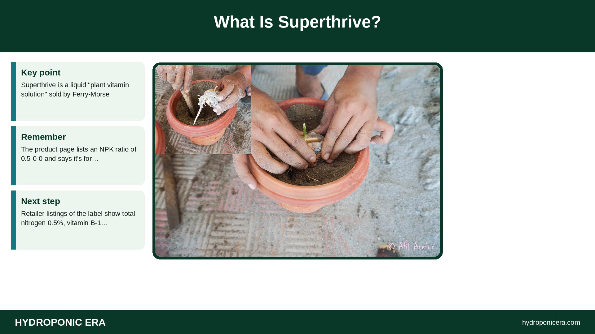 superthrive hydroponics — What Is Superthrive?