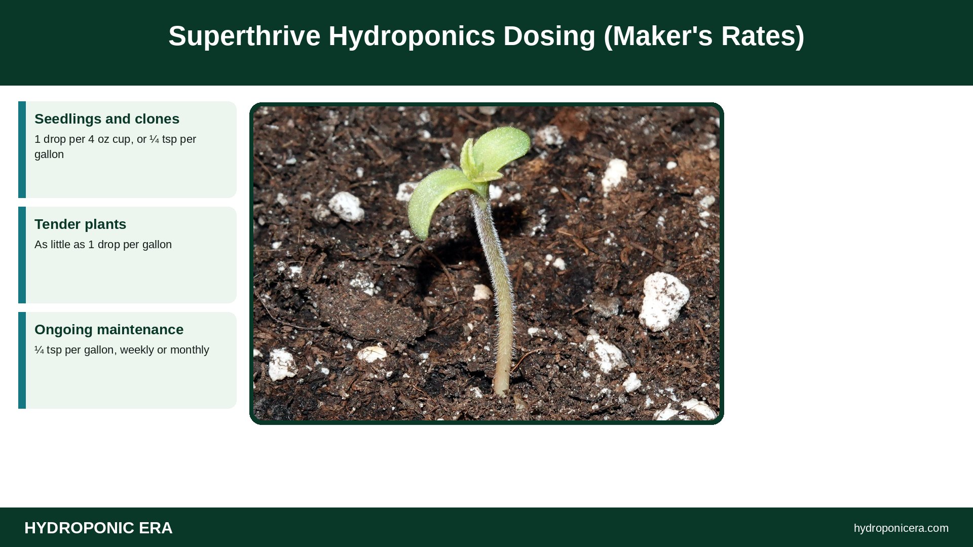 superthrive hydroponics — Superthrive Hydroponics Dosing (Maker's Rates)