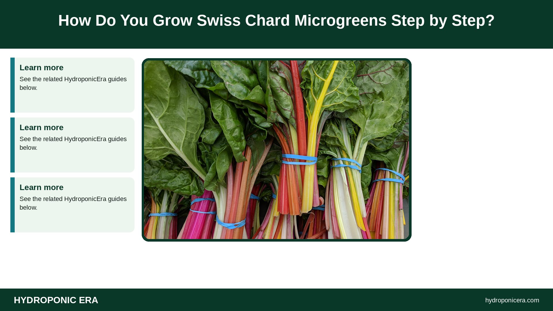 swiss chard microgreens — How Do You Grow Swiss Chard Microgreens Step by Step?