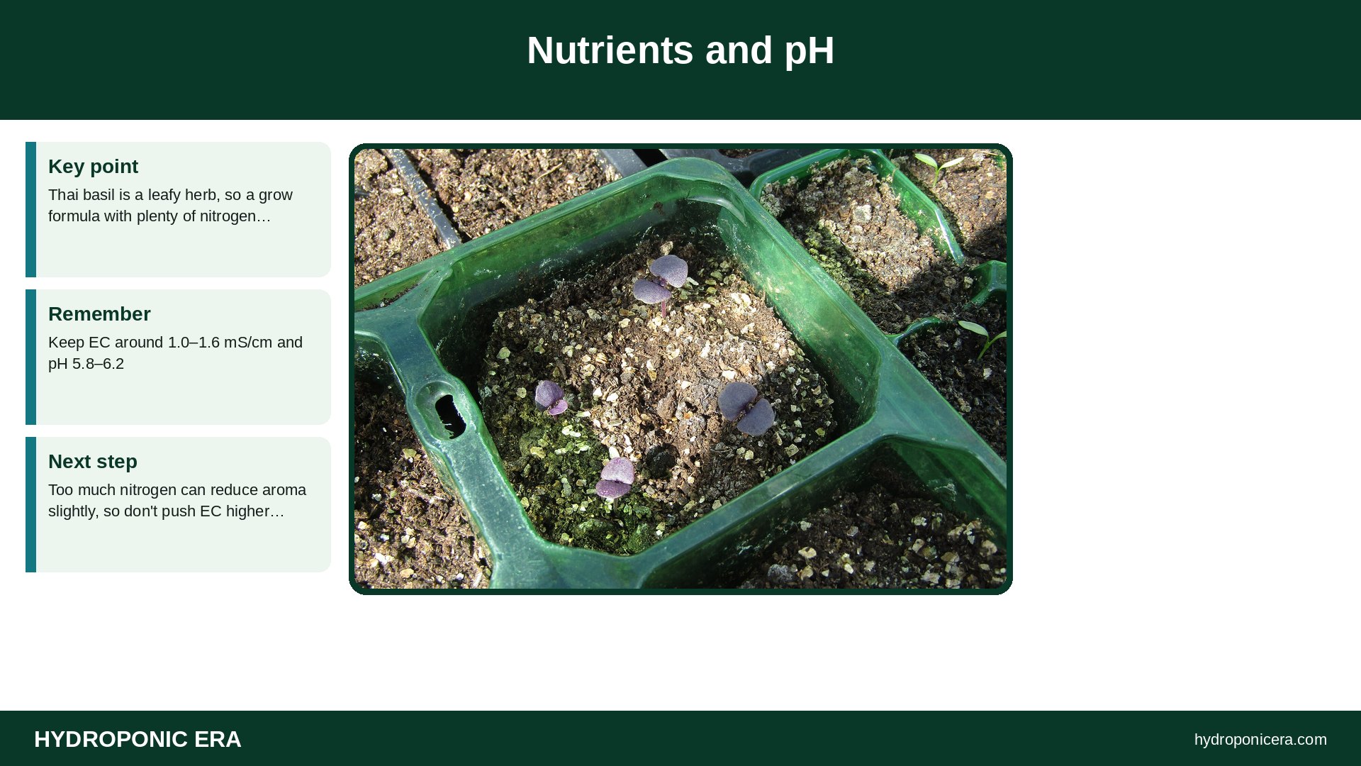 thai basil hydroponics — Nutrients and pH