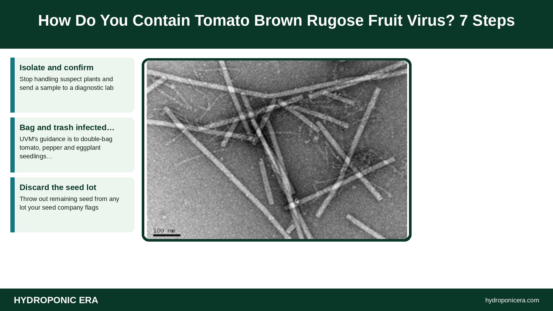 tomato brown rugose fruit virus — How Do You Contain Tomato Brown Rugose Fruit Virus? 7 Steps