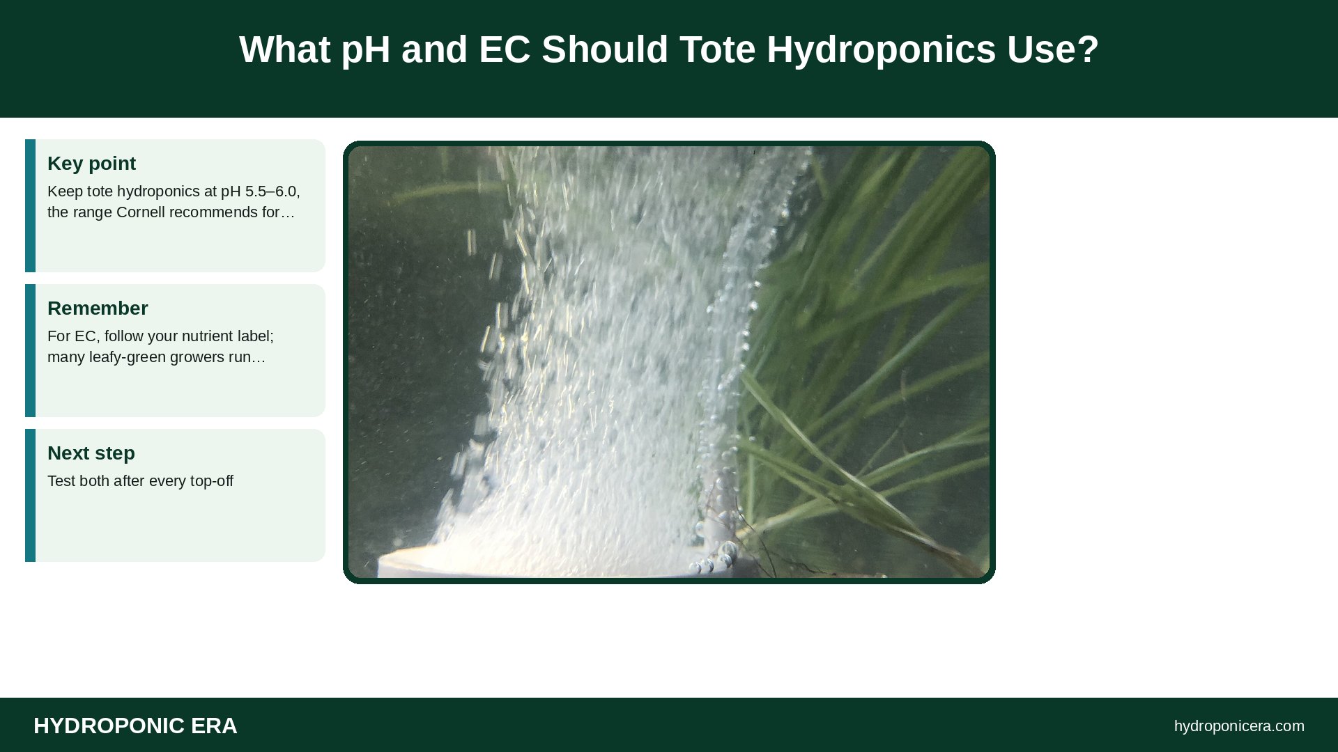 tote hydroponics — What pH and EC Should Tote Hydroponics Use?
