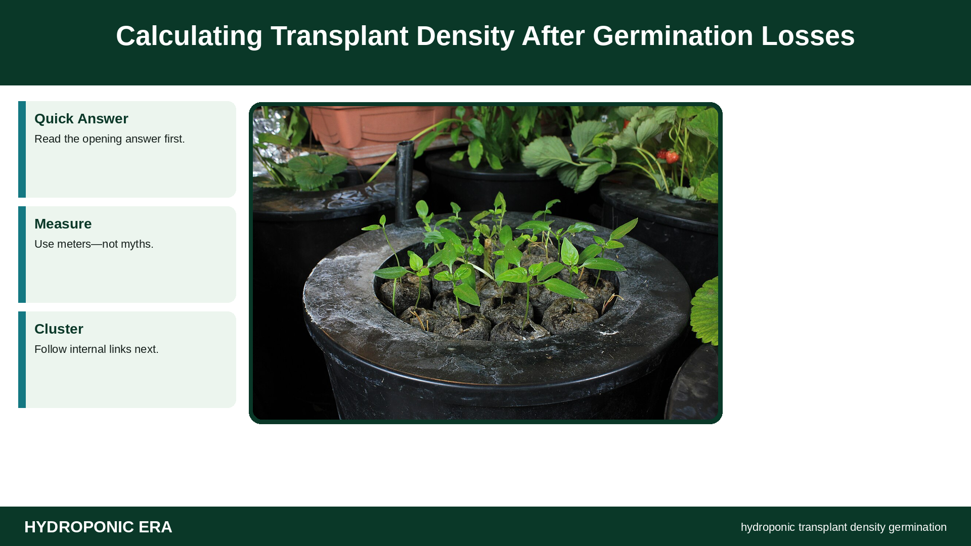 hydroponic transplant density germination — Calculating Transplant Density After Germination Losses