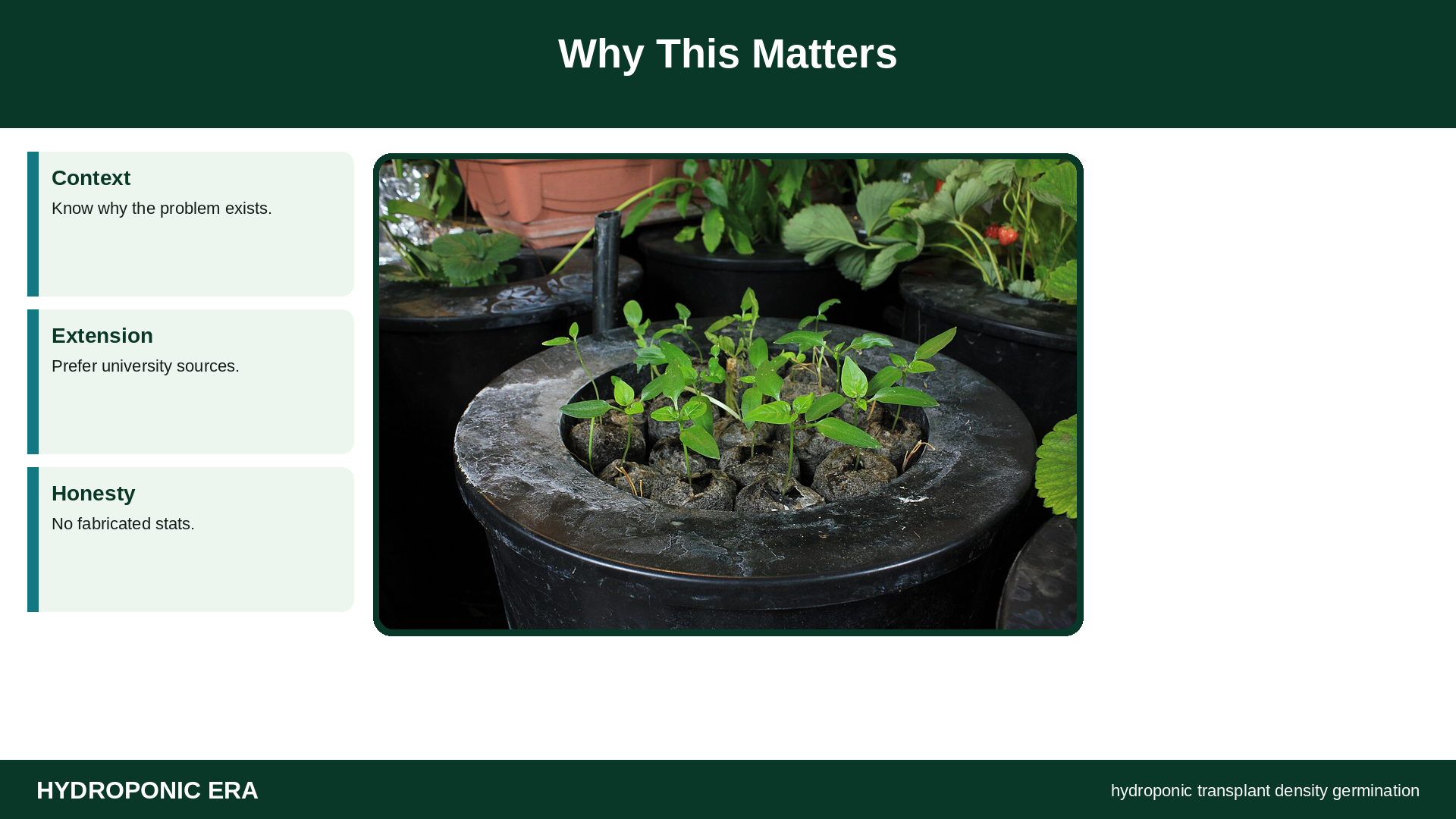 transplant density after germination — hydroponic transplant density germination: Why This Matters