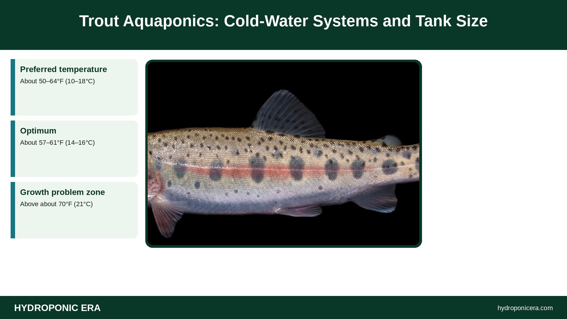 trout aquaponics — Trout Aquaponics: Cold-Water Systems and Tank Size