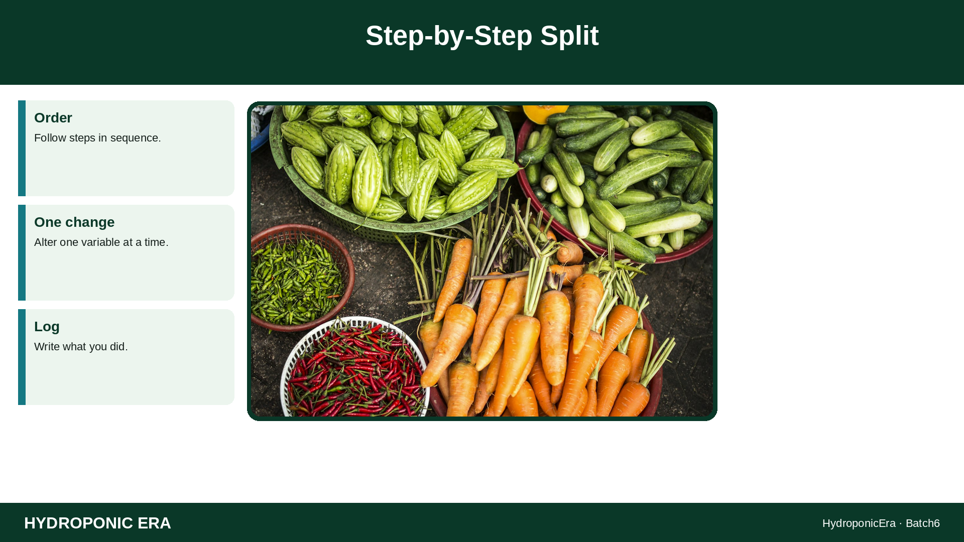 Step-by-Step Split — HydroponicEra tip card graphic