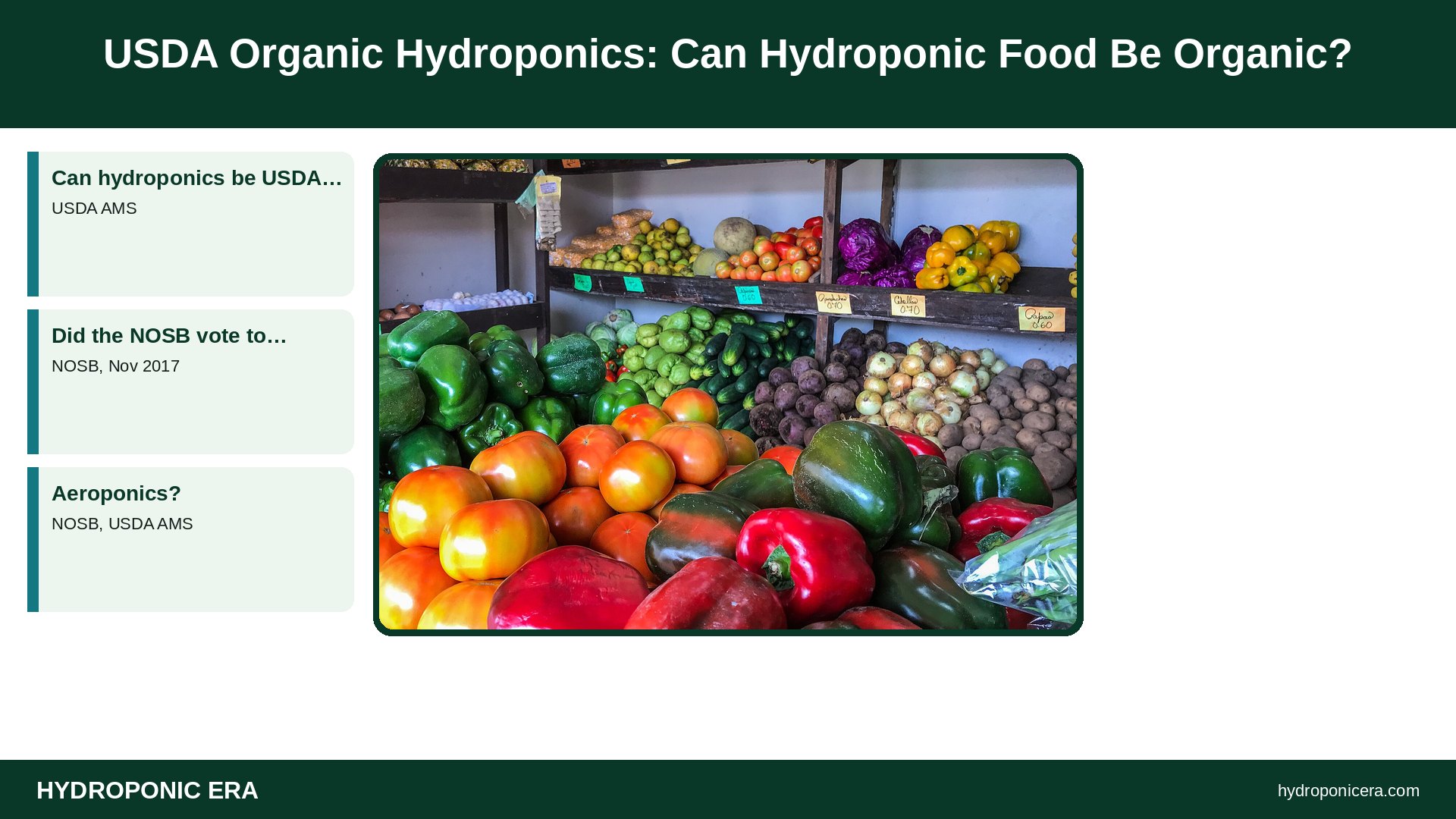 usda organic hydroponics — USDA Organic Hydroponics: Can Hydroponic Food Be Organic?