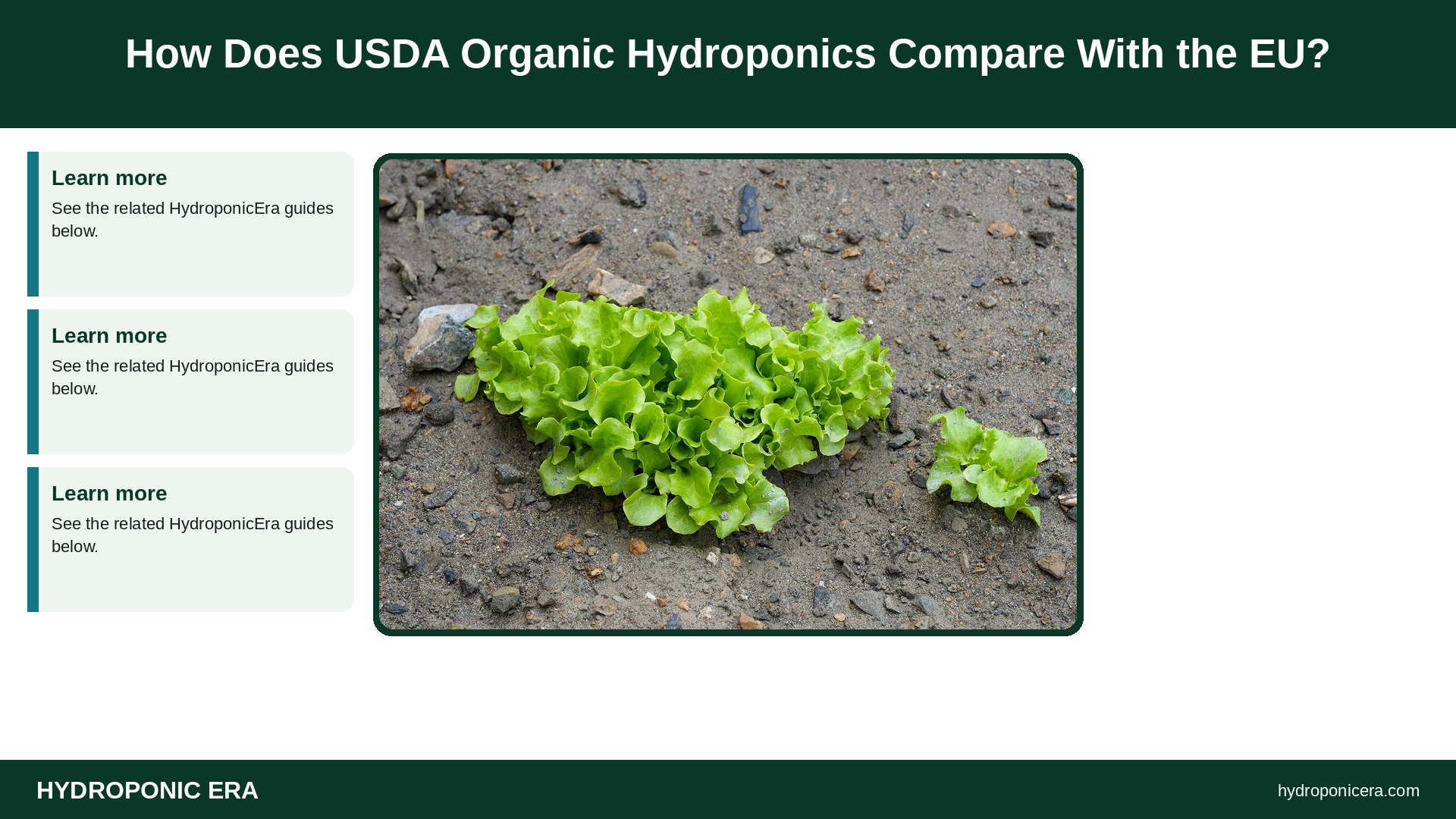 usda organic hydroponics — How Does USDA Organic Hydroponics Compare With the EU?