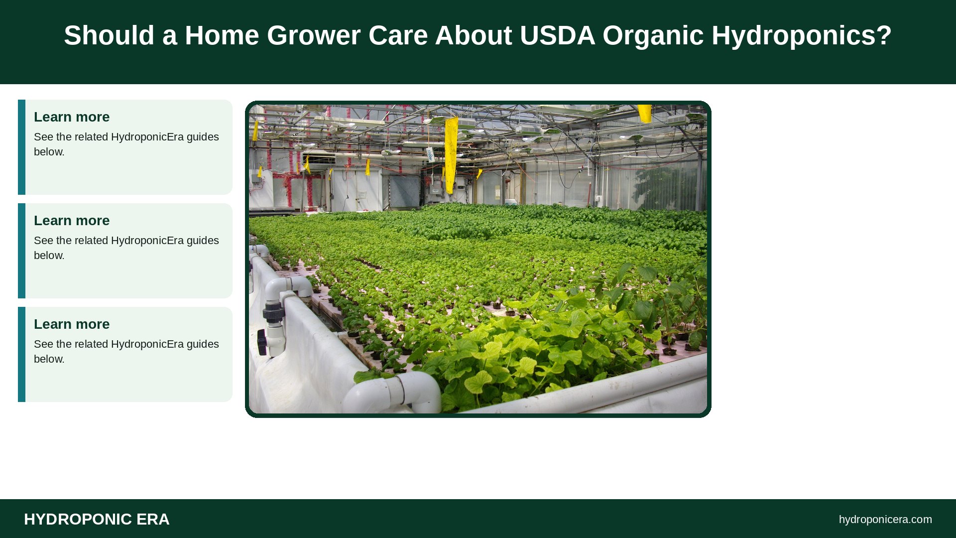 usda organic hydroponics — Should a Home Grower Care About USDA Organic Hydroponics?