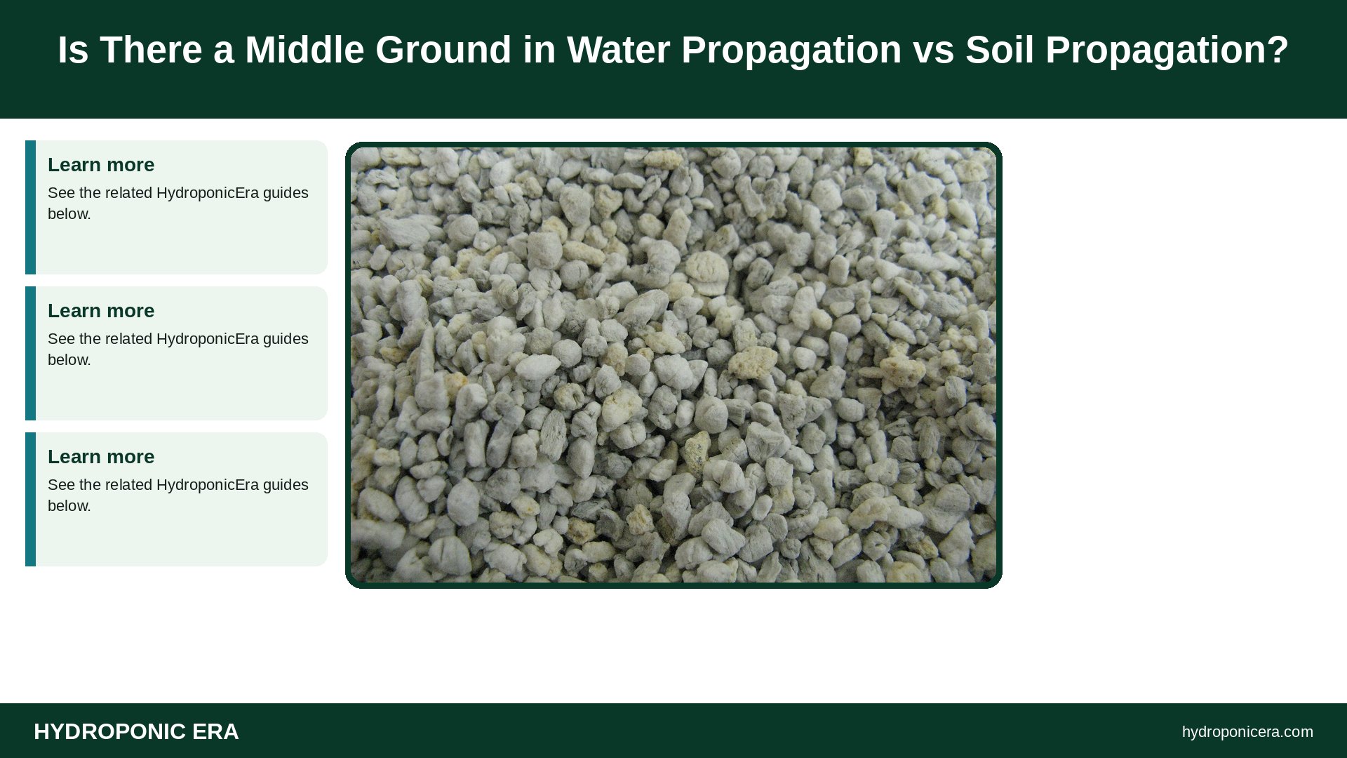water propagation vs soil propagation — Is There a Middle Ground in Water Propagation vs Soil Propagation?