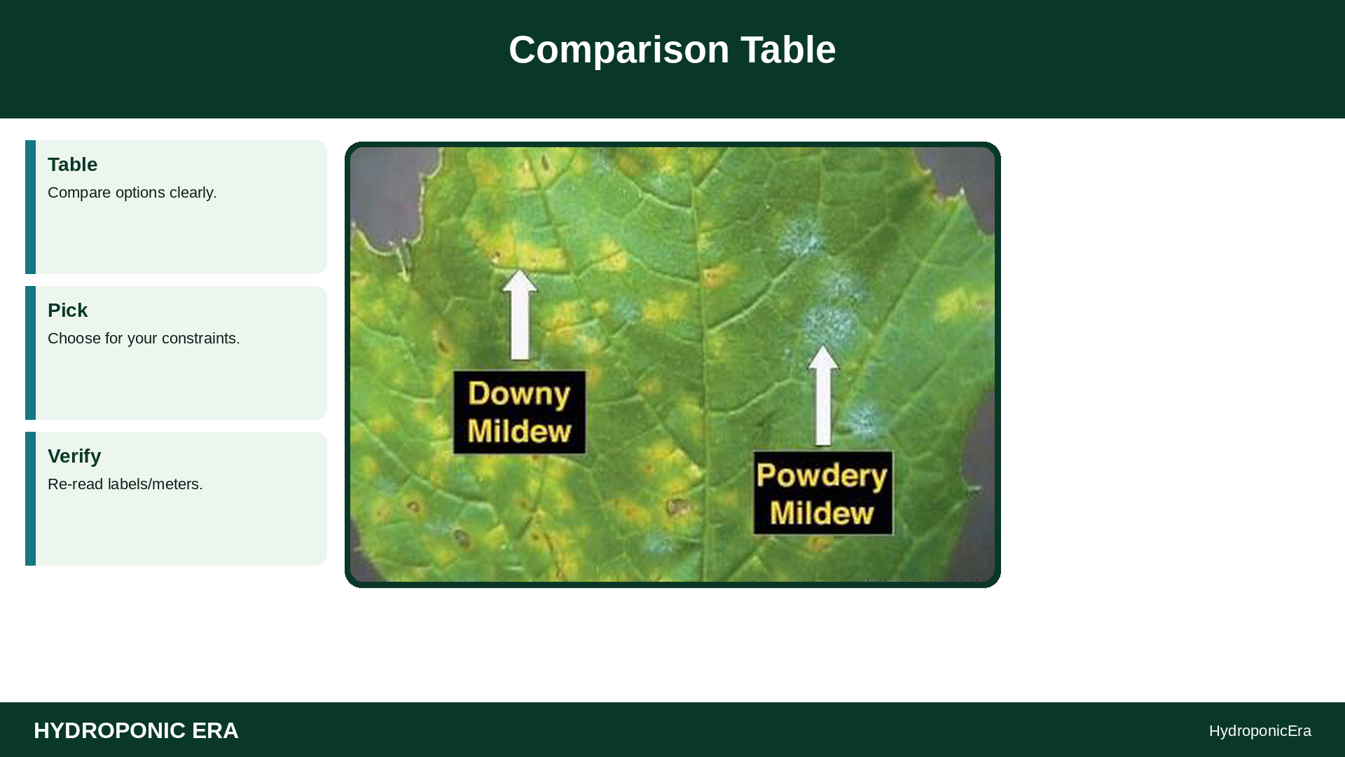 white leaf residue — white residue leaves hydroponics — Comparison Table