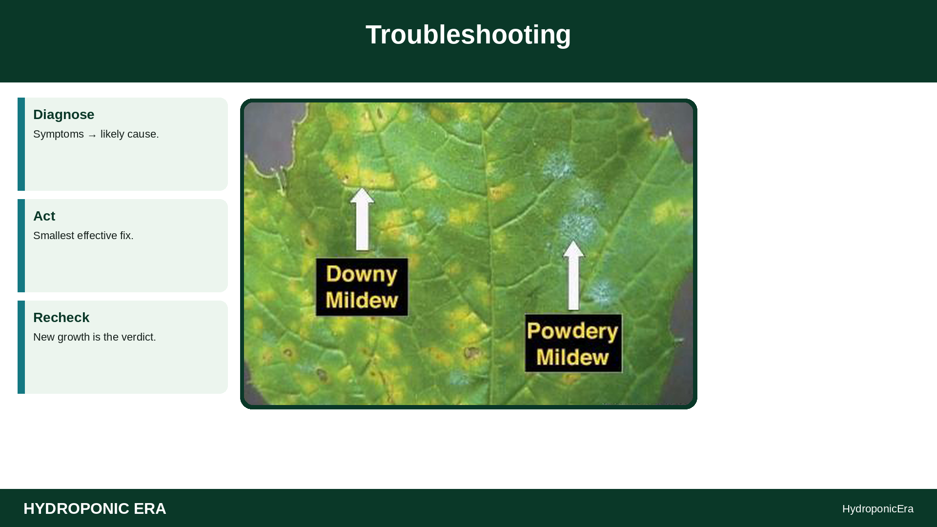 white leaf residue — white residue leaves hydroponics — Troubleshooting