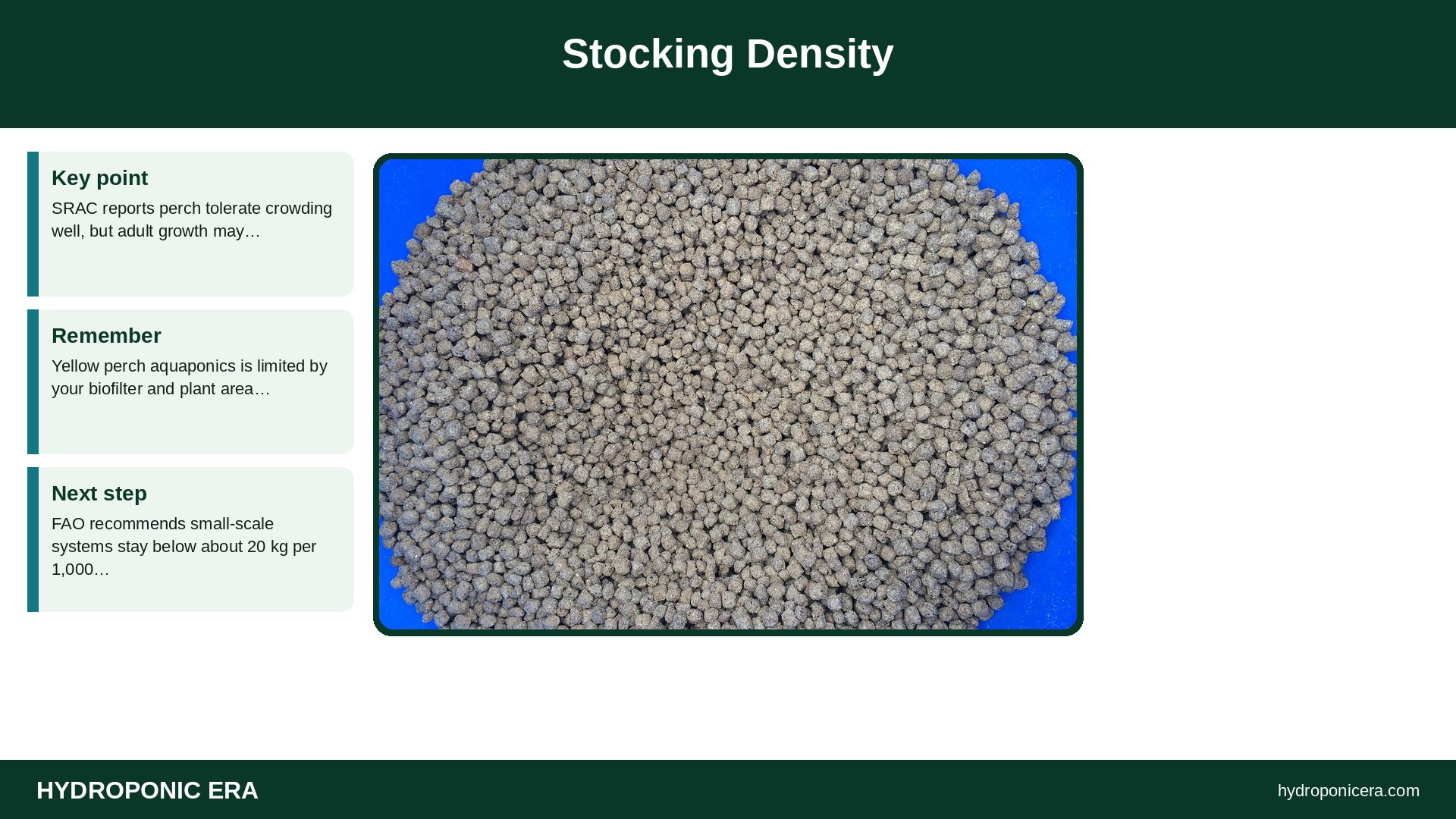 yellow perch aquaponics — Stocking Density